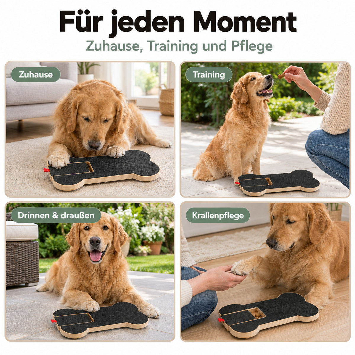 Krallen-Kratzbrett für Hunde